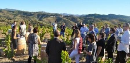 Imagen de la presentación del portal Priorat Enoturisme, en Gratallops