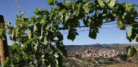 La agricultura es el factor determinante, ahora y en el pasado, del desarrollo económico y cultural del Priorat