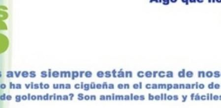 Cartel de convocatoria del Dia de las Aves 2013