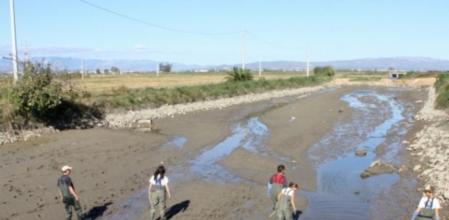 Operación de recuperación de especies del delta del Ebro
