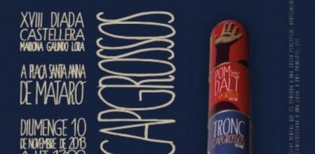 Cartell de la diada Mariona Galindo 2013