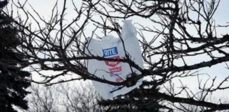 El uso incontrolado de bolsas de plástico supone una amenaza para el medio ambiente a escala mundial