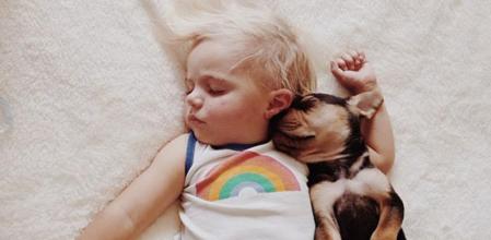 Un bebé duerme la siesta junto a un cachorro de perro
