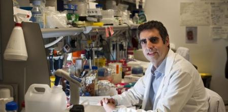 Manel Esteller, investigador del Institut d'Investigació de Bellvitge / Icrea