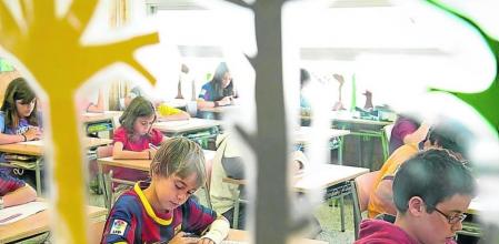 Rigau estudia amb les escoles com salven la immersió sense desacatar la justícia