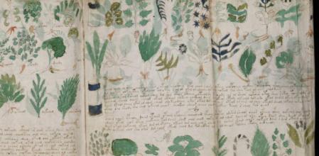 El Manuscrito Voynich