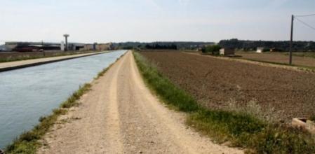 Un campo todavía por inundar al lado del canal en el Delta