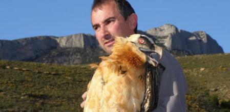 Margalida con un ejemplar de buitre.