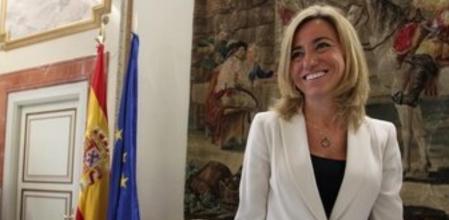 Carme Chacon ante la prensa antes de llegar al acto en el Centro de Estudios Políticos y Constitucionales (CEPC).