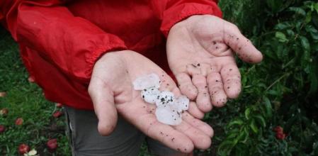Efecto del granizo en cultivos de Lleida