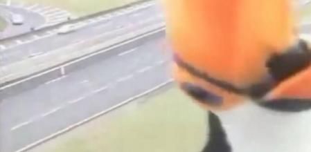 Un tucán apareció delante de la cámara de tráfico de acceso a una autopista de Sao Paulo