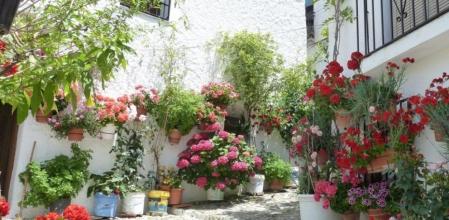 Una de las calles de Pampaneira, un pintoresco pueblo de la Alpujarra granadina