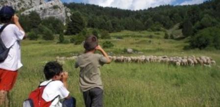 El contacto con la naturaleza, terapéutico