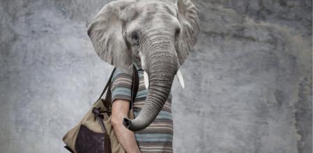 Animales y humanos comparten ragos psicológicos comunes