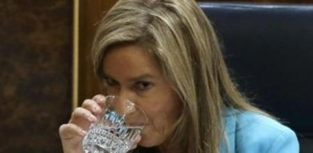 La ministra de Sanidad, Servicios Sociales e Igualdad, Ana Mato, durante el pleno que celebra hoy el Congreso de los Diputados.