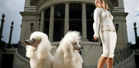 El doble de multimillonarios pese a la crisis