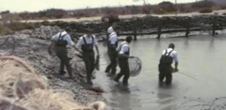 Cada vez son menos los cocineros que quedan en el concurso, por lo que las rivalidades se acusan más mediante va avanzando el concurso