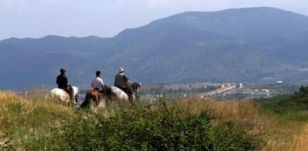 Imagen de uno de los caminos en Sant Esteve Sesrovires