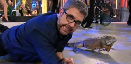 La fundación recoge firmas para que Mediaset elimine el uso de animales en las pruebas del concurso que presentan Flo y Patricia Conde