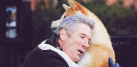 La tierna historia de la mascota que emitió Antena 3 se llevó el mejor dato de anoche aunque la audiencia estuvo muy repartida entre el resto de cadenas