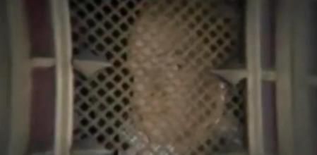 Una de las imágenes que se puede ver en el rápido segundo 'teaser' de la quinta temporada de 'Juego de Tronos'