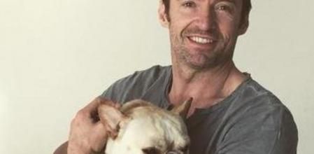 Hugh Jackman presenta a su nuevo perro, Dalí, en Instagram
