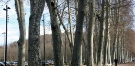 El parque de la Devesa de Girona