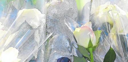 La causa que multiplica el dolor