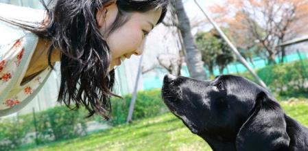 Una investigadora mira a los ojos a un labrador retriever
