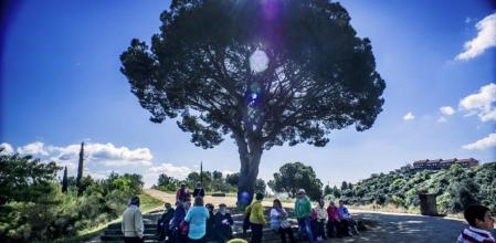 Los vecinos se cobijan bajo la gran copa del pino piñonero, símbolo de Sant Vicenç del Horts