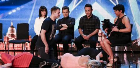 Princess, la perra que hace hipnosis en televisión