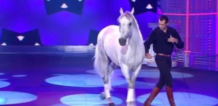 Nueva ración de espectaculares mascotas en '¡Vaya fauna!'