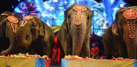 Imagen de un circo de Los Ángeles con una actuación con elefantes