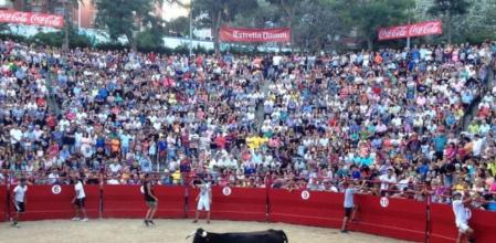 Una imagen de la suelta de vaquillas que se celebra en Badalona, que tiene su origen en los años 80