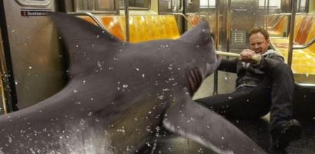 Ian Ziering, actor de culto gracias a 'Sharknado'.