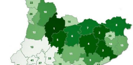 Mapa de Catalunya que distingue las comarcas con mayor el porcentaje de árboles respecto al total de árboles en todo el territorio catalán