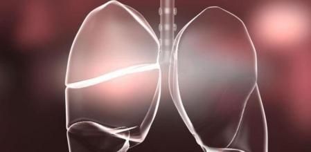 Demuestran por primera vez en humanos la relación entre la microbiota intestinal y el asma