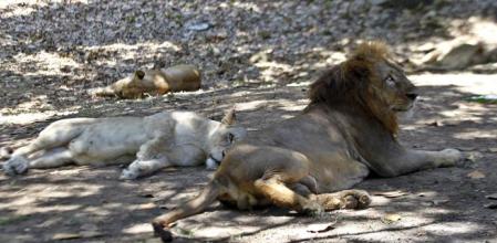 Foto de archivo&nbsp;