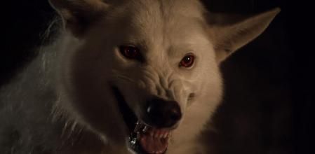 Fantasma, el lobo huargo que mejor conocemos.