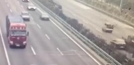 Tres ovejas cruzaron una autovía en China y causaron un trágico accidente en cadena