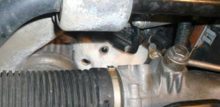 En invierno, los gatos callejeros buscan el calor que desprende el motor de los coches