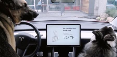 En la pantalla del salpicadero el sistema mostrará un mensaje en el que se informa que los perros están bien