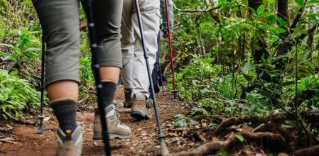 Un grupo de personas practican senderismo