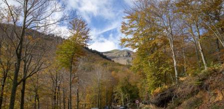 La llegada del otoño generalmente viene marcada con la bajada de las temperaturas, las precipitaciones, la reducción de horas de luz diurnas y por el cambio de color de los bosques