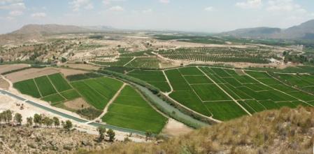 Vega Baja se encuentra al sur de la Comunidad Valenciana, junto a la Región de Murcia.