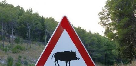 Un vídeo grabado desde el interior de un coche muestra con claridad lo que sucede cuando no se llevan las luces largas en un tramo oscuro