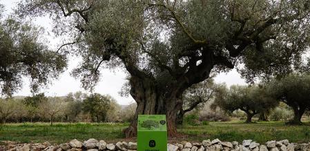 dsc09401_49234884647_o