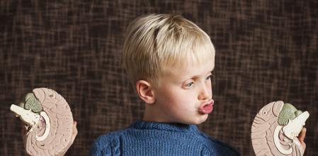 cerebro izquierdo y derecho neuromitos