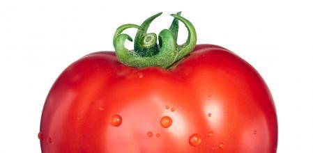 Marglobe tomato