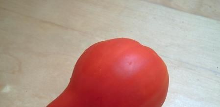 Tomate pezón de venus